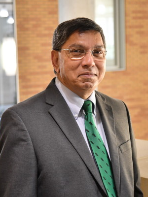 Audhesh K. Paswan, Ph.D.