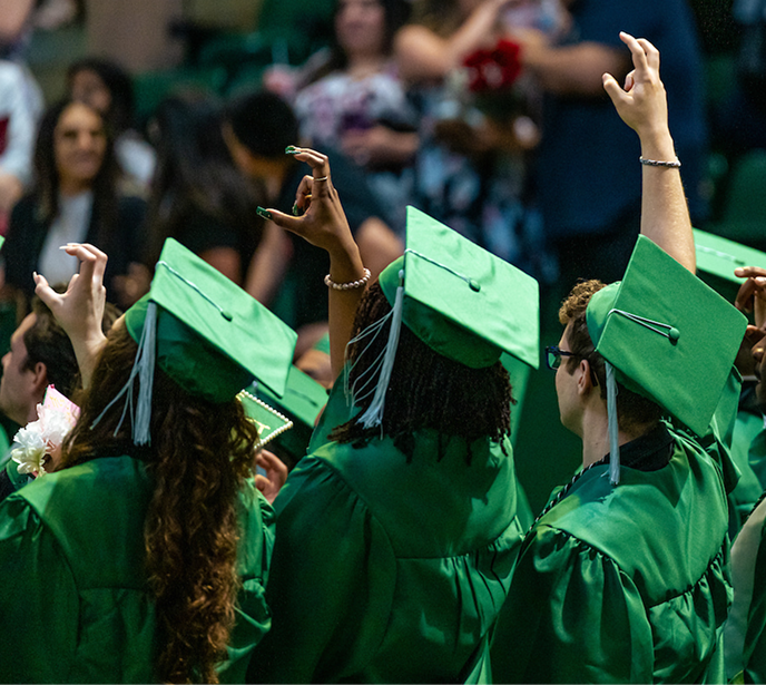 Decorative Image of Graduation